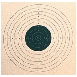 Cible en carton 17X17 U.I.T. X100