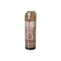 ASG - Spray d'huile siliconée Ultrair 220ml Spécial Entretient De Réplique