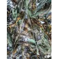 Occasion - Ghillie de camouflage