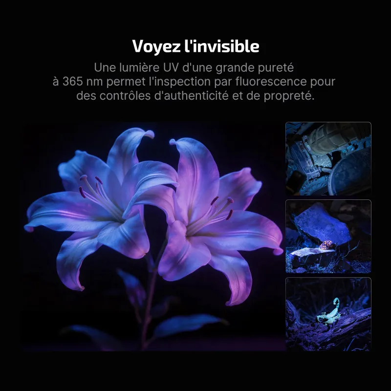 Olight Oclip Pro S, lumière UV 365 nm révélant la fluorescence