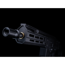 ASG - Réplique Fusil d'assaut AEG FLCN 5.56 M95 - Noir