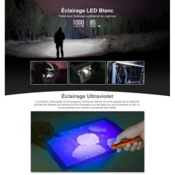 Olight - Arkfeld UV | Lampe EDC avec Éclairage Ultraviolet - Vert OD