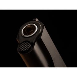 ASG - Pistolet CO2 Dan Wesson A2 - Noir