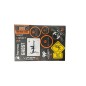 Evolution International - Planche de stickers - Viper