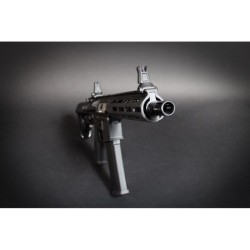 Evolution International Recon 10" Noir – AEG Carbontech M-LOK & ETS III | Zn-Airsoft.fr