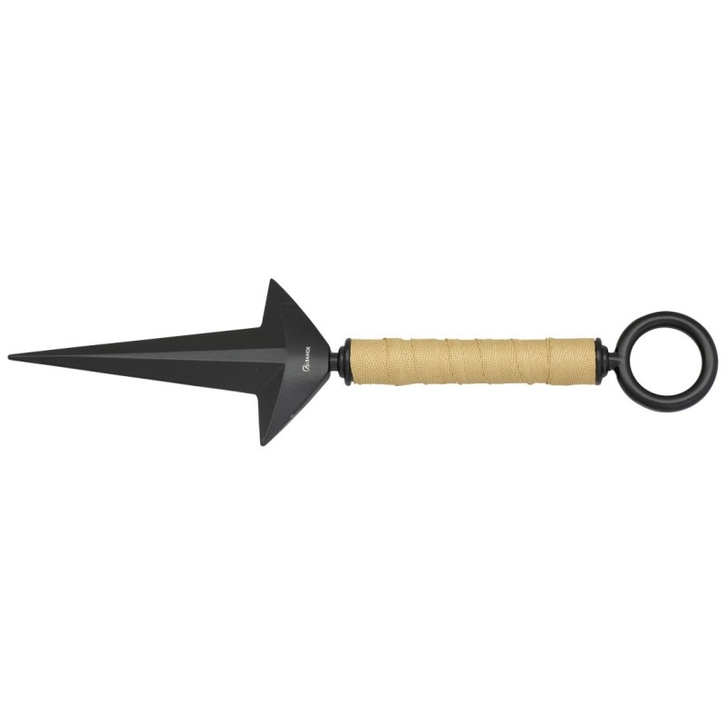 ALBAINOX - Lance D'entrainement 24 cm - Noir