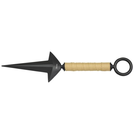 ALBAINOX - Lance D'entrainement 24 cm - Noir