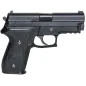 WE - Pistolet GBB P229 - Noir