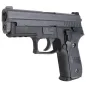 WE - Pistolet GBB P229 - Noir