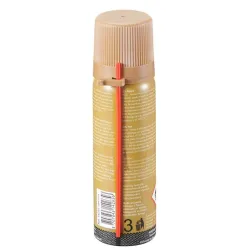 ASG - Spray d'huile siliconée 60ml Spécial Entretient de réplique