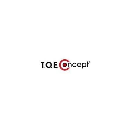 TOE Concept